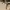 Tas Elizabeth Taryn Handbag Cream photo 2