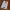 Your Conscious Mind - New Scientist photo 4
