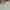 kaos polo shirt BOY LONDON kaos krah pocket tee polos casual photo 1