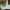 NB Proctsec Sneakers White photo 3
