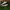 NB All Coast 574 Light Cream Grey photo 2