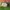 New Balance  Fresh Foam X Ariani NXT photo 4