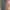 Atasan guess photo 1