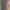 Atasan Guess