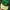 topi jhon deere  photo 1