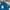 kaos polo denim stretch CANTERBURY OF NEW ZEALAND kaos kerah photo 3