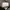 Nike Air Jordan 6 DMP photo 8