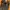 Nike Air Jordan 6 DMP photo 4