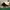 Nike Air Jordan 6 DMP photo 1