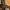 Nike Air Jordan 6 DMP photo 7