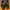 Nike Air Jordan 6 DMP photo 5