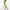 Mango Casual Summer Dress Wanita Green