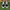 Vans OldSkool Checkerboard photo 5