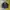GLADAN SUED FILGHT JAKET photo 1
