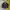 GLADAN SUED FILGHT JAKET