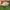 New Balance MS2050 photo 2