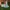 New Balance MS2050 photo 1