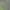 Zara Streetwear Indie Parka Pria green photo 3
