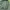 Zara Streetwear Indie Parka Pria green photo 6