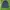 Streetwear Casual Parka Pria Navy Blue