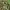 Streetwear Indie Parka Pria green black photo 2