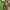 Streetwear Indie Parka Pria green black photo 5