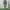 JACKET PARKA CAMO ABRI 91 photo 2