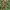 JACKET PARKA CAMO ABRI 91 photo 7