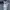 Feltics Streetwear Sportswear Sweater Pria gray photo 4