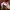 Bershka kulit domba Jaket kulit asli crop vintage coklat tan photo 6