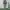 JACKET BOMBER ANTISTATIC  photo 1