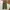 Carhartt Casual Casual pants Pria green photo 4