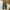 Carhartt Casual Casual pants Pria green photo 1
