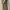 Guess Original White bag Auth photo 6