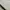 Guess Original White bag Auth photo 4