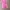 Baju Renang Thermal anak Eko pink photo 1