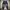 Celana jeans wanita pinggang karet photo 2