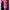 Bamboo Blonde Lolita Casual Crop top Wanita pink photo 3