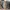 Bonia Special Edition Bowling Duffle Handbag photo 1