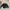 CREWNECK BORDIR JAPAN AYAKO ISHIGURO