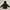 GU Outerwear Kids Gray