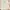 Bamboo Blonde Lolita Summer dress Wanita pink photo 3