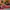 New Balance 997 USA Red Blue Reflective photo 5