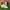 Nike Air VavorMax Off White 2018 photo 1