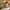 Michael Kors Medium Sutton Satchel