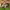 New Balance M530 photo 2