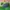 New Balance 373 Green photo 4
