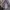 Japanese brand Casual Maxi dress Wanita multicolor photo 4