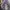 Japanese brand Casual Maxi dress Wanita multicolor photo 5