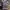 Japanese brand Casual Maxi dress Wanita multicolor photo 2